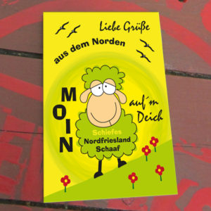 Schildchen Nordfrieslandschaf auf´m Deich